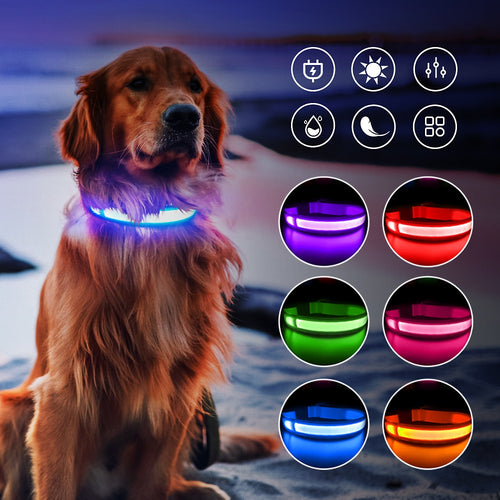 Light Dog Collar USB Charging, Rechargeable, Waterproof - outdoorgearandaccessories