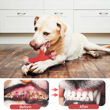 Load image into Gallery viewer, Dog Chew Toy, Durable Double Bone, Rubber - outdoorgearandaccessories
