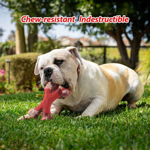 Load image into Gallery viewer, Dog Chew Toy, Durable Double Bone, Rubber - outdoorgearandaccessories
