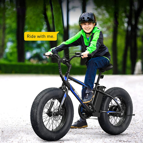 350W 36V Fat Bike Electric Bicycle Removable Battery - outdoorgearandaccessories