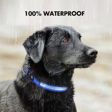 Load image into Gallery viewer, Light Dog Collar USB Charging, Rechargeable, Waterproof - outdoorgearandaccessories
