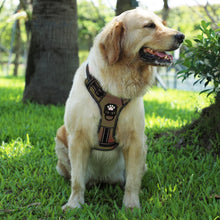 Load image into Gallery viewer, Dog Harness, No Pull Nylon Adjustable Reflective Dog Vest Harness - outdoorgearandaccessories
